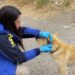 Detectives de la PDI detienen a mujer por maltrato animal en Coyhaique