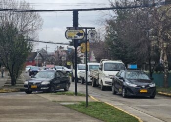 Abren postulaciones para renovar colectivos y buses rurales en la Región de Aysén