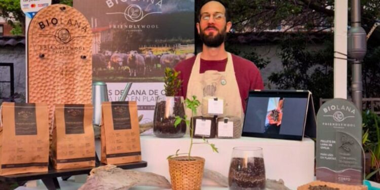 Friendly Wool presenta Biolana en Expo Jardines 2025: innovación sustentable desde Aysén