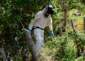 Confirman quinto caso de Hantavirus en Aysén durante 2025: paciente de Coyhaique permanece en estado grave