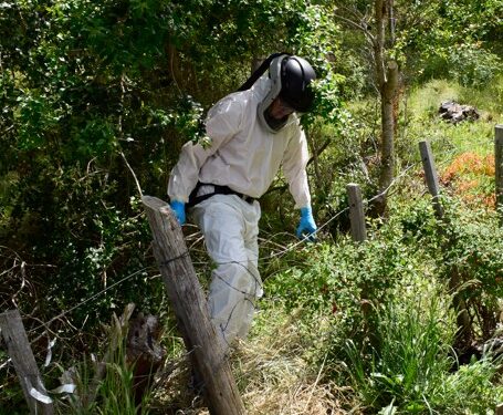Confirman quinto caso de Hantavirus en Aysén durante 2025: paciente de Coyhaique permanece en estado grave