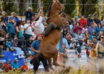 Festival Internacional de Jineteadas y Folclore de Puerto Ibáñez confirma su XXIV versión para enero de 2026