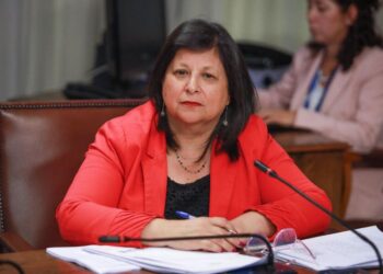 Diputada Marcia Raphael rechaza uso de $4 mil millones del SERVIU Aysén para financiar expropiación de megatoma en San Antonio