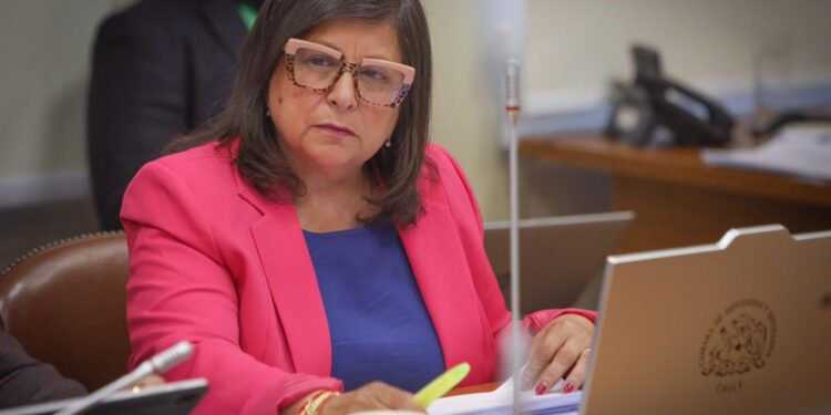 Diputada Raphael tras judicialización de acceso a Glaciar Leones “está fallando el gobierno en la coordinación entre servicios públicos”