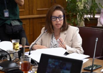 Ximena Órdenes destacó la incorporación de tres nuevas patologías al GES