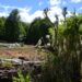Presentan plan de ordenación para recuperar bosque nativo degradado en predio fiscal Lago Frío