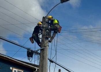 Edelaysen continúa reforzando el trabajo en terreno para garantizar continuidad y calidad del servicio eléctrico durante el verano