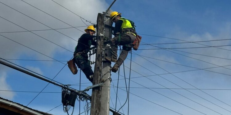 Edelaysen continúa reforzando el trabajo en terreno para garantizar continuidad y calidad del servicio eléctrico durante el verano