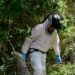 Confirman caso de Hantavirus en joven que visitó Aysén; autoridades refuerzan llamado al autocuidado