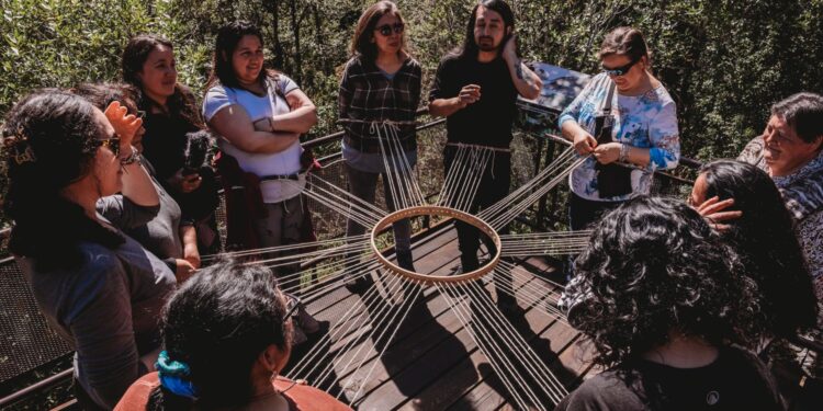 Nueve proyectos de Aysén resultan seleccionados en los primeros anuncios de los Fondos Cultura 2026