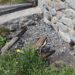 Municipalidad de Cochrane y CONAF refuerzan llamado a prevenir incendios forestales en el sector del Glaciar Calluqueo