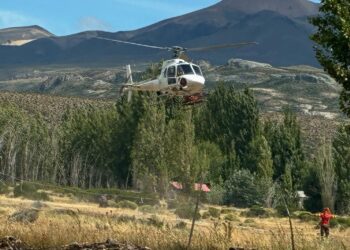 Alerta Roja por incendio forestal en Chile Chico movilizó amplio operativo de emergencia