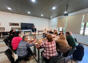 COSOC de Coyhaique aprueba renombrar el Centro Cultural y el Terminal de Buses en homenaje a Arturo Barros y Antonio Horvat