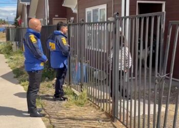 PDI investiga muerte de más de 20 mascotas en Balmaceda