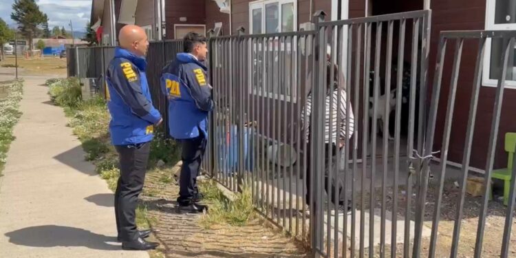 PDI investiga muerte de más de 20 mascotas en Balmaceda