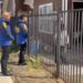 PDI investiga muerte de más de 20 mascotas en Balmaceda