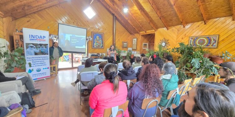 El renacer de la colmena patagona: jóvenes rurales lideran el giro agroecológico en Chile Chico