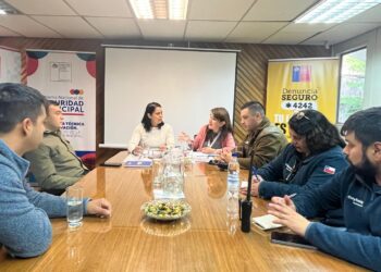 Mesa Intersectorial de Prevención realiza balance de trabajo con ANFA Coyhaique