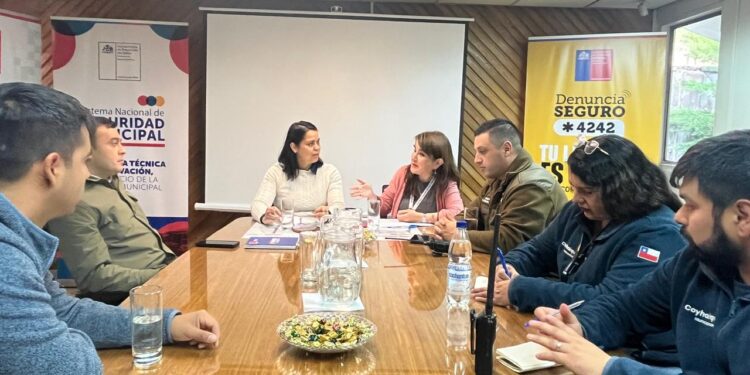 Mesa Intersectorial de Prevención realiza balance de trabajo con ANFA Coyhaique