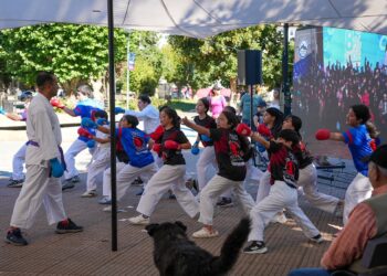 Gobierno Regional lanza en Coyhaique el Fondo de Vinculación con la Comunidad 2026