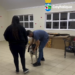 Municipio de Coyhaique activa operativo y acciones legales tras envenenamiento masivo de mascotas en Balmaceda