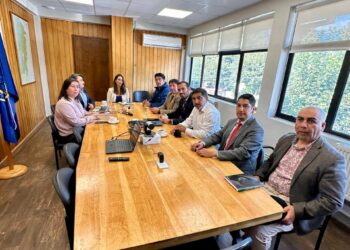 Cumbre municipal: la nueva delegada presidencial traza su hoja de ruta para enfrentar el rezago territorial