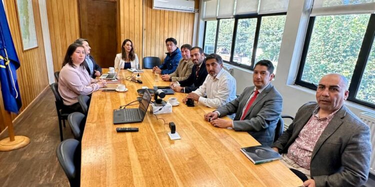 Cumbre municipal: la nueva delegada presidencial traza su hoja de ruta para enfrentar el rezago territorial