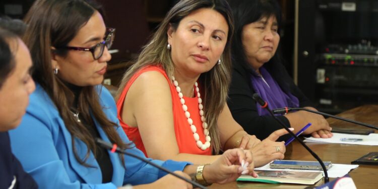 Diputada Valdebenito cuestiona financiamiento extranjero vinculado a evitar proyectos salmoneros