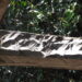 Arqueología de la soledad: un estudio rescata la epopeya de los colonos del Bajo Palena antes de que la selva borre sus huellas