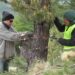 Voluntariado apoya control de especies exóticas en parques nacionales de Aysén