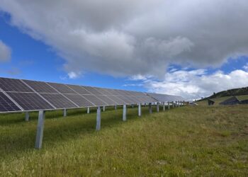 Giro verde en la red patagona: Edelaysen levanta el parque solar Cerro Sombrero para inyectar energía limpia a Coyhaique