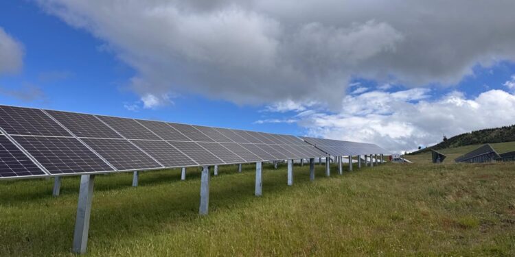 Giro verde en la red patagona: Edelaysen levanta el parque solar Cerro Sombrero para inyectar energía limpia a Coyhaique