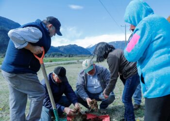 INIA realizará seminarios para difundir resultados de investigación sobre plagas en praderas de Aysén