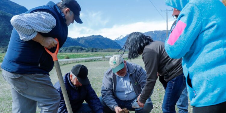 INIA realizará seminarios para difundir resultados de investigación sobre plagas en praderas de Aysén