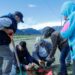 INIA realizará seminarios para difundir resultados de investigación sobre plagas en praderas de Aysén