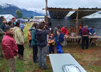 Identidad y resistencia en la Patagonia: Mañihuales desafía la lluvia y consolida al maqui como su motor cultural y económico