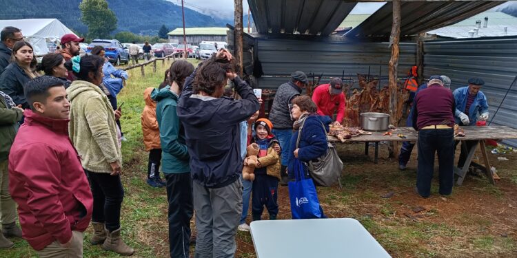 Identidad y resistencia en la Patagonia: Mañihuales desafía la lluvia y consolida al maqui como su motor cultural y económico