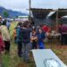 Identidad y resistencia en la Patagonia: Mañihuales desafía la lluvia y consolida al maqui como su motor cultural y económico