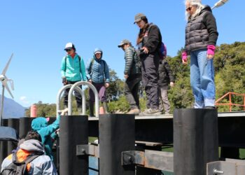 Monitoreo ciudadano en Pitipalena-Añihué identifica más de 40 especies y proyecta certificación para habitantes locales