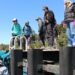 Monitoreo ciudadano en Pitipalena-Añihué identifica más de 40 especies y proyecta certificación para habitantes locales