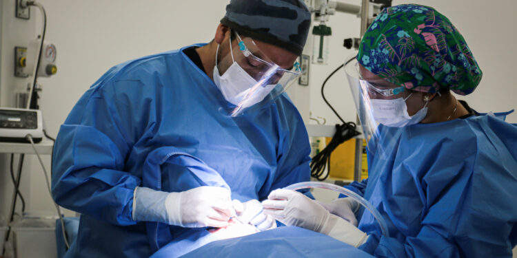 Hospital de Chile Chico frena el desarraigo médico con inéditos operativos gratuitos de implantología dental