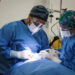 Hospital de Chile Chico frena el desarraigo médico con inéditos operativos gratuitos de implantología dental