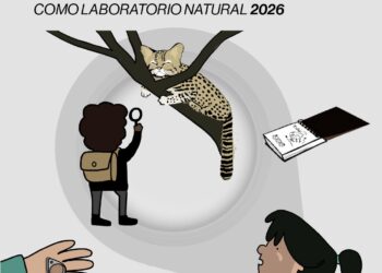 Convocatoria abierta: Explora Aysén invita a docentes y estudiantes a descubrir el laboratorio natural de Aysén