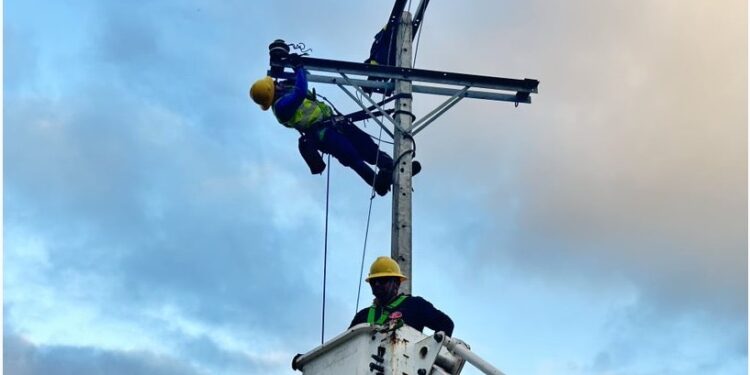 Edelaysen realizará trabajos de mantenimiento en red eléctrica de Chile Chico