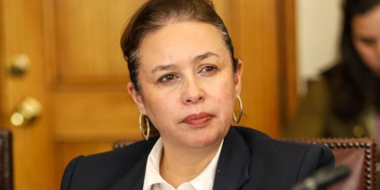 Senadora Órdenes sobre Ley Miscelanea: “Menos ingresos fiscales significa menos Estado donde más se necesita”