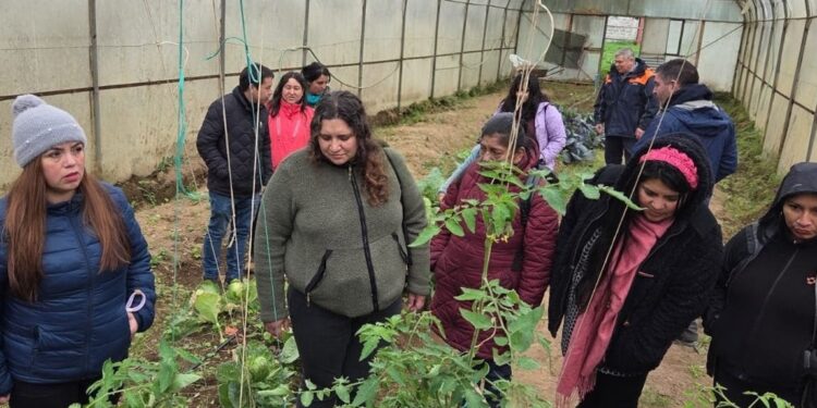 Taller en CET Valle Verde entrega herramientas de cultivo a familias y personas privadas de libertad en Aysén