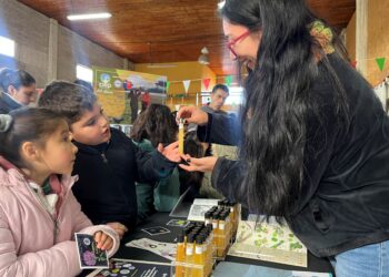 CIEP realiza feria “Ciencia en el Territorio” en Puerto Ingeniero Ibáñez