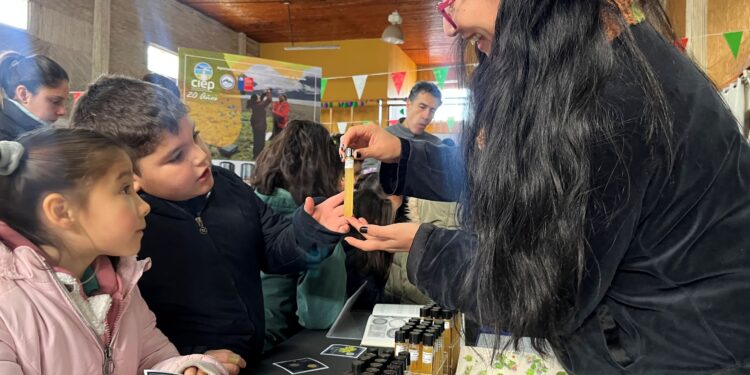 CIEP realiza feria “Ciencia en el Territorio” en Puerto Ingeniero Ibáñez