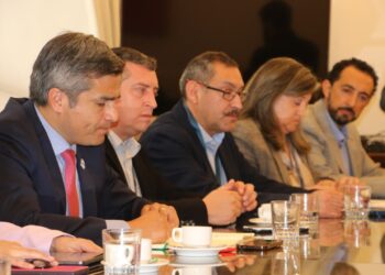 En La Moneda: Delegación de Aysén presenta propuestas por alza de combustibles