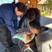 Atenciones por mordeduras de perros superan las mil desde 2025 en la región